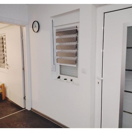 Apartmani Domo Sd 斯梅代雷沃 外观 照片