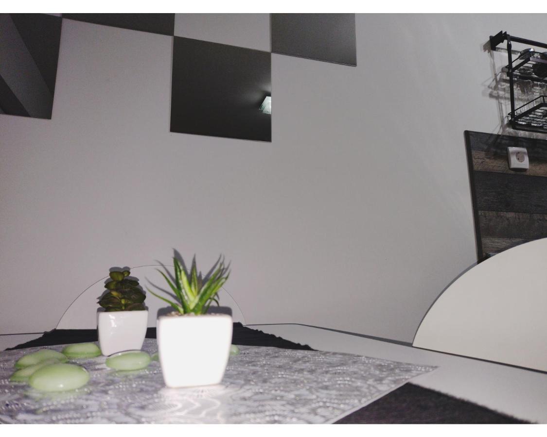 Apartmani Domo Sd 斯梅代雷沃 外观 照片